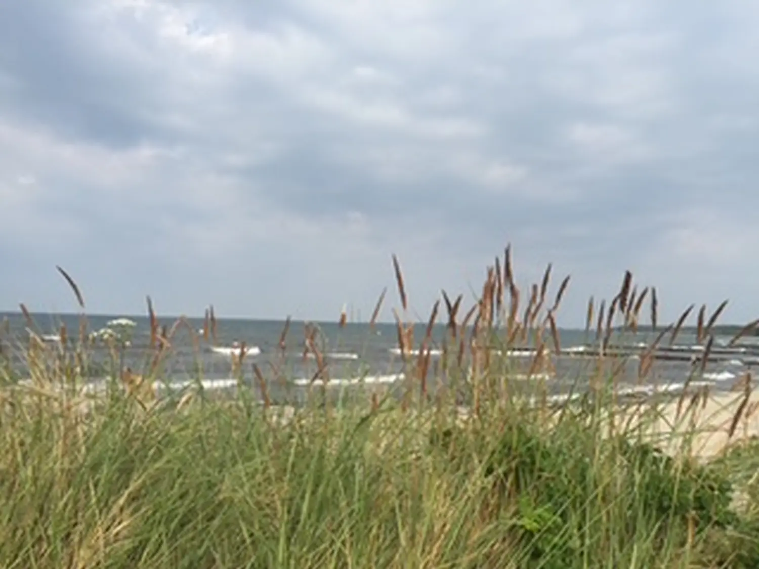 Gras und Fluss von Ferienwohnung Heimathafen & Hafenkante